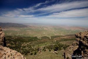 Tichrirt, vue sur Guigba et Biskara