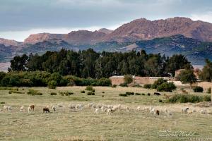 Ras El Aioun , l'ancienne ferme