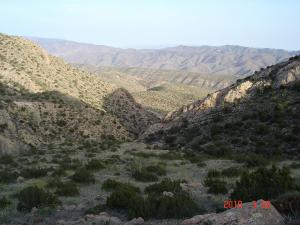 Al Kattar, Beni Farah, 2010