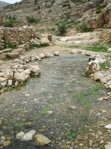 Ikhef n'Souf springing