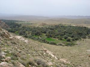 Liana vue de  Aassaous,