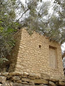 A disused water mill in Ah Frah -