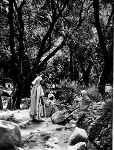 Farhi farmers waiting for their watering turns, 1902