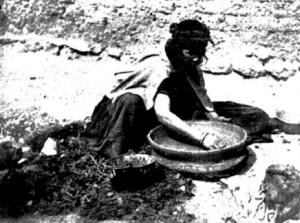 Farhi Potter, 1913, by Melville William Hilton-Simpson