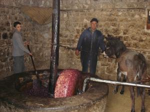 Olive press in Ah Frah