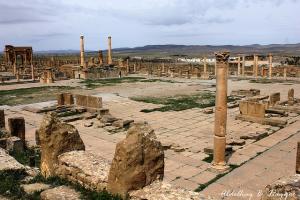 Forum de timgad