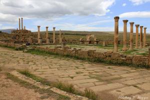 Le march? Sertius ..