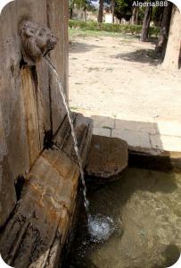 Fontaine romaine du lion