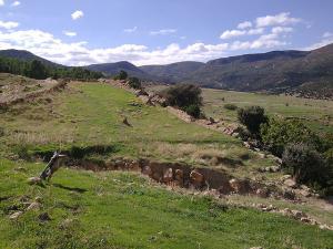 seriana batna pasteur (61)