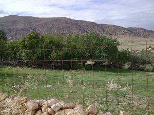 seriana batna pasteur (45)