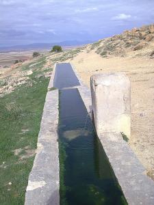 seriana batna pasteur (28)