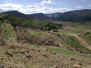 seriana batna pasteur (27)