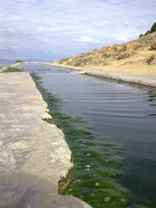 seriana batna pasteur (60) AIN Bthith