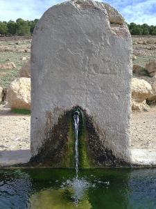 seriana batna pasteur (59) AIN Bthith