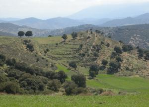 Route Batna-Arris dans les Aurès