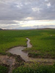 pasteur seriana  batna (2)