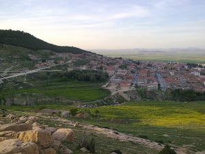 pasteur seriana  batna (20)