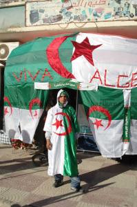 Algerian Fan From barika- Batna