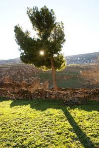La lumière du matin