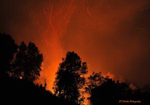 forêts de Filfila en feu 2
