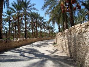 Les Zibans -Biskra -Algeria