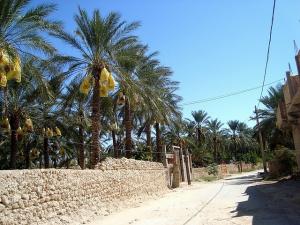 Les Zibans -Biskra -Algeria
