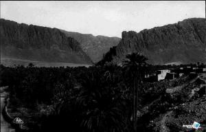 Ancienne Photo de Biskra