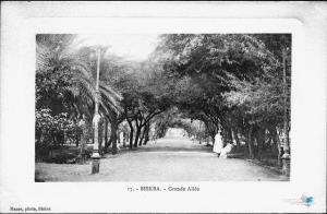 Grande Allée a biskra