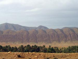 Algérie - El Kantara