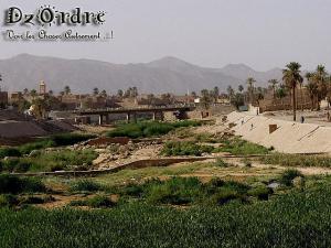 Bechar Verte
