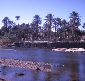 Oued de Bechar en 1965