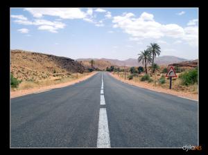 De Bechar à Ain Safera a environ une cinquantaine de km