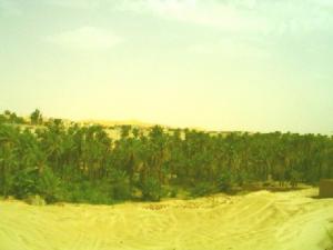 Beauté du désert à Bechar