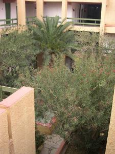 Jardin  Hôtel Antar