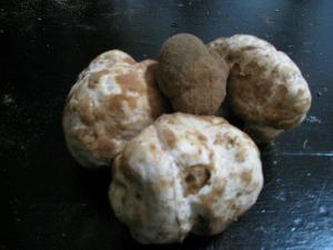 les truffes de Kenadssa