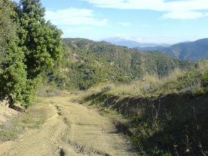 Palestro-maala -loin  c'est le djurdjura