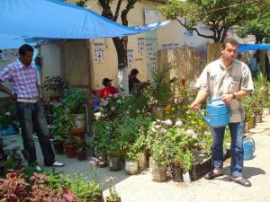 BLIDA, Arrosage des fleurs exposées