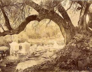 Blida-Cimetière de Sidi El Kébir