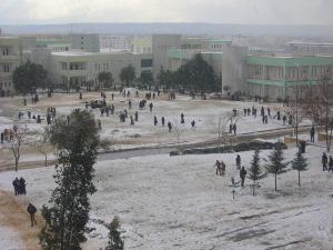 Université SAAD DAHLEB