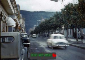 BLIDA . Nostalgie
