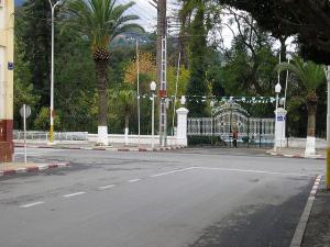 Blida