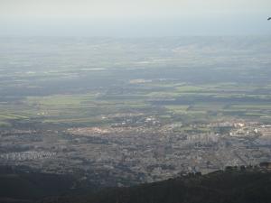 Vue d'en Haut de Blida