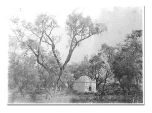 Marabout Blida  Sidi Yacoub