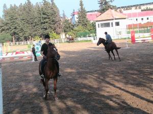 Club Hippique  Blida