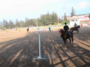 Club Hippique  Blida