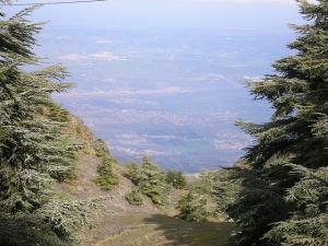 Mount Chrea, Blida, Algérie