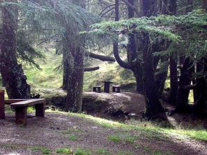 Mount Chrea, Blida, Algérie