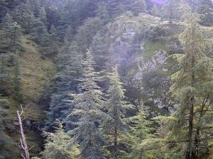 Chrea, Blida, Algeria