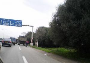 Sur la route menant à  Blida