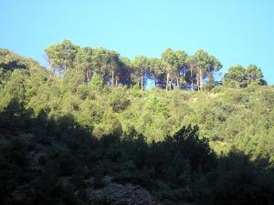 Sidi El-kebir, Blida